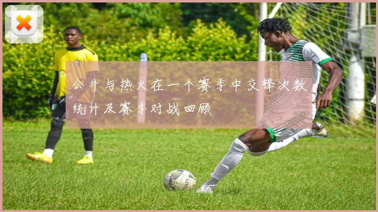 公牛与热火在一个赛季中交锋次数统计及赛季对战回顾