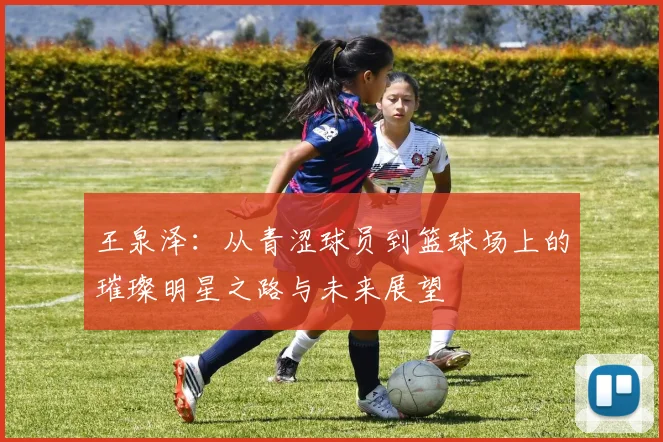 王泉泽：从青涩球员到篮球场上的璀璨明星之路与未来展望