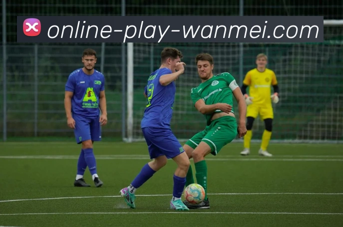 完美体育品牌故事