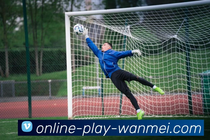 完美体育服务体系